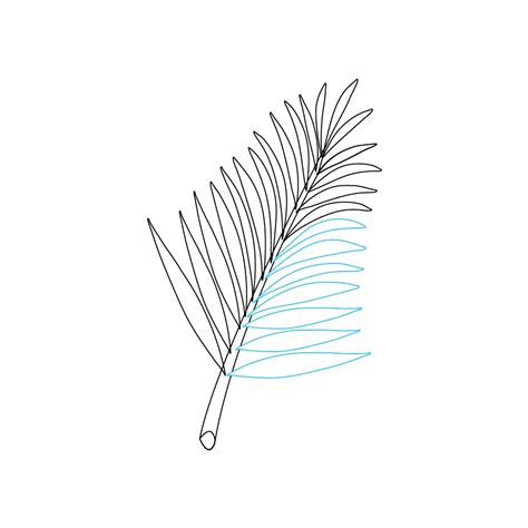 How To Draw A Palm Tree Leaves Step By Step