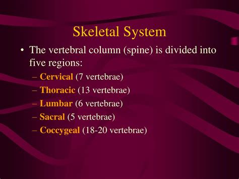 Ppt The Skeletal System Powerpoint Presentation Free Download Id