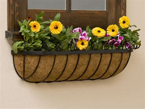It has a rating of 4.9 with 31 reviews. Hayrack Window Baskets & Coco Liners for Flowers & Herbs