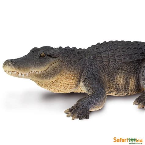 Alligator Collectible Toys Diorama Animals 113389
