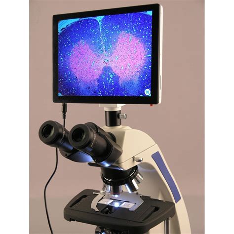 Amscope 40x 2500x Infinity Plan Laboratory Compound Microscope With Lc