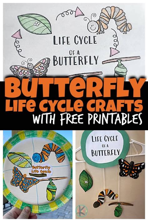 🦋 Butterfly Life Cycle Crafts W Free Printables