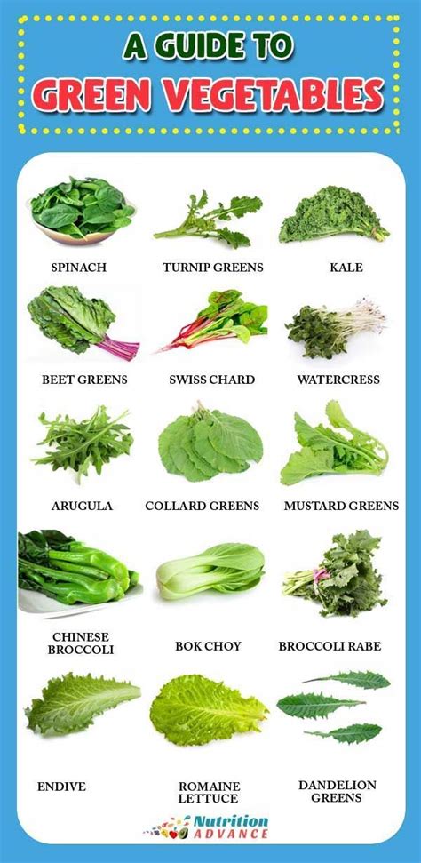 15 Of The Most Nutritious Leafy Green Vegetables Green Leafy