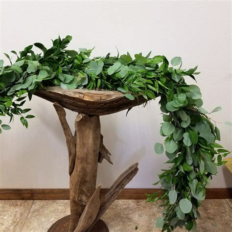 Check spelling or type a new query. Garlands, Eucalyptus, Florida Ruscus & Italian Ruscus ...