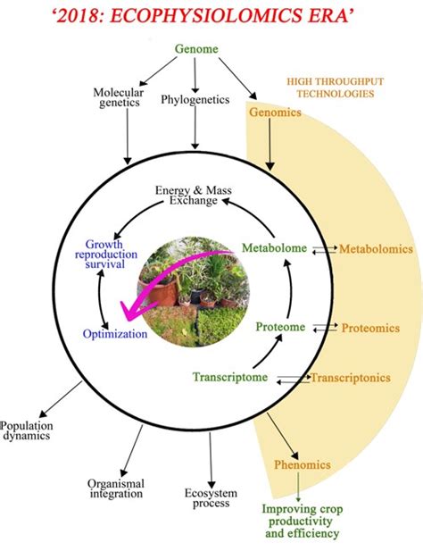 Plantae Focused Review A Role For Ecophysiology In The Omics Era