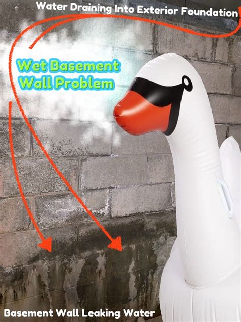 Dec 05, 2018 · basement leak repair: Wet Leaky Basement Wall Problem - Exterior Water Leaks ...