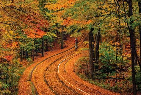 The Best Spots To Enjoy Michigans Feast Of Fall Foliage Phi Adventures