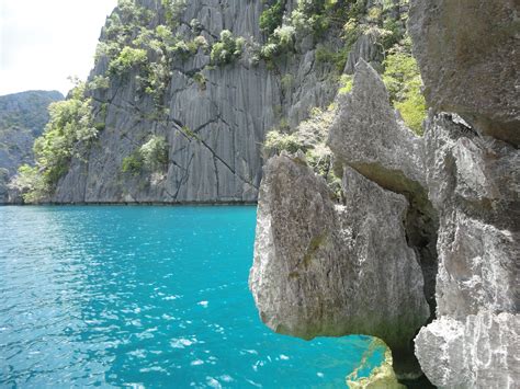 Barracuda Lake Coron Palawan Palawan Places To Travel Island