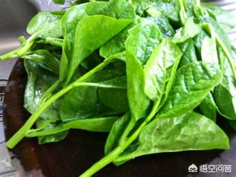 常吃木耳菜有什麼好處，高血壓人群能吃嗎？木耳菜的營養價值 Peekme