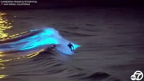 Bioluminescent Waves Surfers Ride Glowing Waters Off San Clemente San