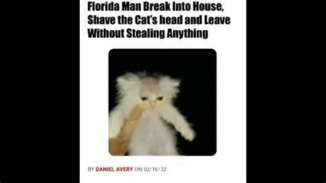 Florida Man Breaks Into A House Shaves Cat Head And Then Leaves Without