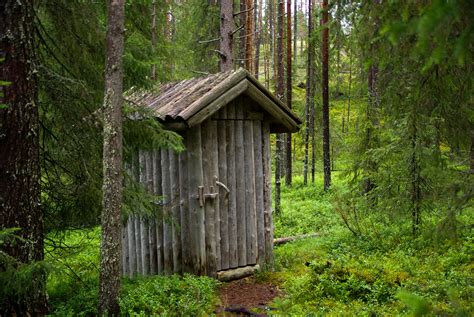 Free Images Tree Nature Wilderness Wood Trail Hut Shack Green