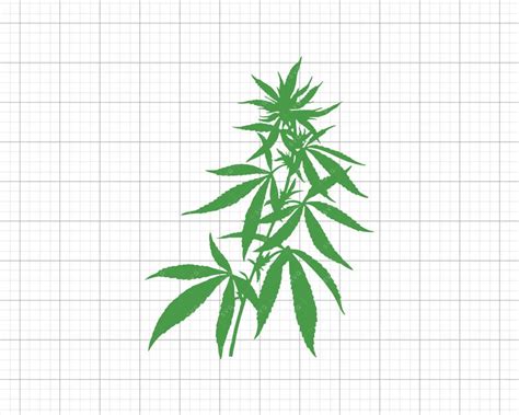 Download Cannabis Plant SVG Cut File Cricut Instant Download | Etsy
