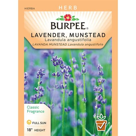 Burpee Lavender Munstead Seed Packet