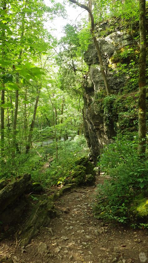Clifton Gorge Nature Preserve
