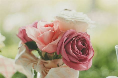 무료 이미지 사진술 꽃잎 꽃 무늬의 애정 꽃다발 장미 꽃 로맨스 낭만적 인 담홍색 혼례 꽃들 닫다