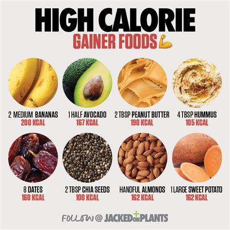 High calorie low carb foods to gain weight. Pin on PLANT BASED Health, Fitness, Nutrition, and Muscle Gain