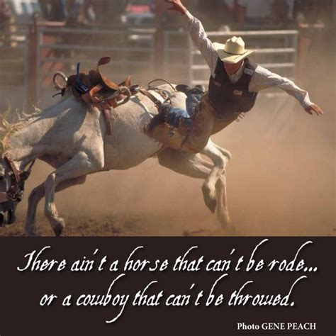 24 Best Images About Cowboy Logic On Pinterest Virginia Montana And Dads