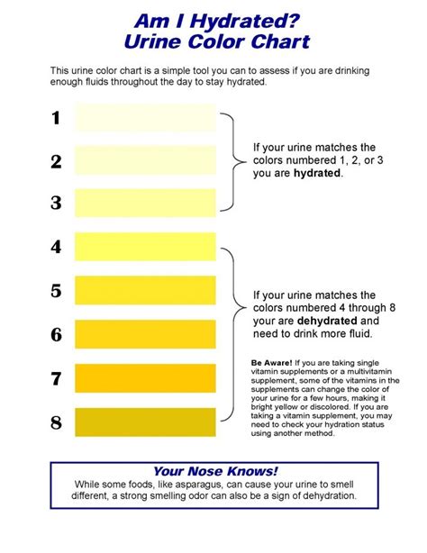 Are You Hydrated Cflo Urine Color Chart Center For Lost Objects Are