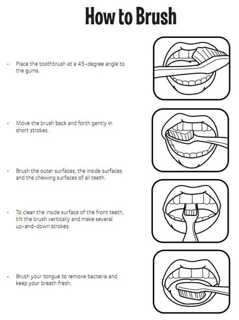 30 Awesome How To Brush Your Teeth Steps With Pictures With Images