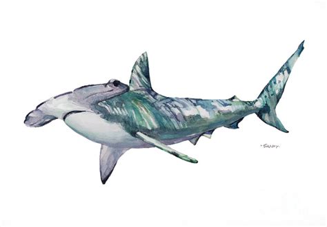 Hammerhead Shark Art