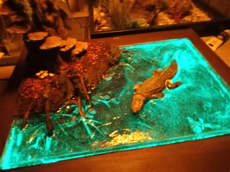 Alligator Swamp Diorama By Itslav On Deviantart