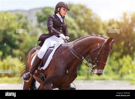 Young Female Horse Rider On Equestrian Sport Competition Stock Photo