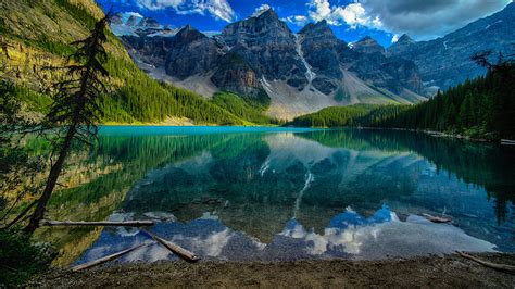 Microphotography of green grass and water dew, green leafed plant. Wallpapers Banff Canada Lake Moraine Nature Mountains ...