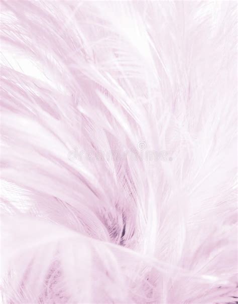 Beautiful Closeup Textures Abstract Colorful Gray Pink And White