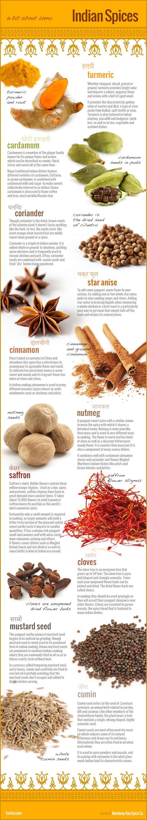 10 Indian Spices Infographic