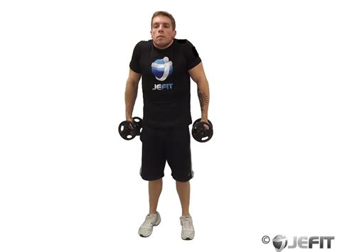 Dumbbell Shoulder Shrug Exercise Database Jefit Best Android And