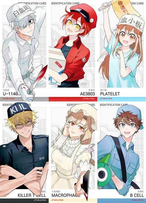 Hataraku Saibou Cells At Work Anime Anime Boy Anime Characters
