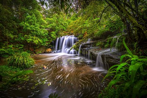 Best 100 Forest Stream Pictures Download Free Images On Unsplash