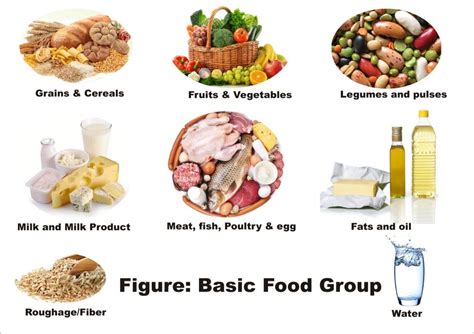 Food Groups Mynutrishop