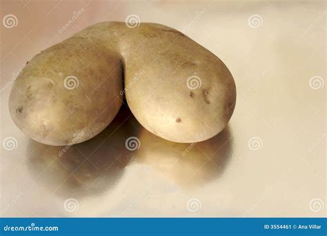 Strange Potato Stock Image Image Of Agriculture Nature 3554461