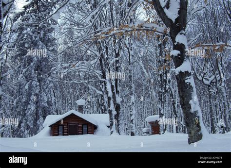 Log Cabin In Snowy Woods Chippewa County Near Paradise Michigan