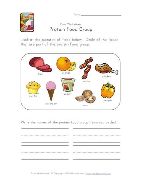 Protein Food Group Worksheet