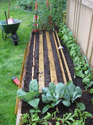 If you love gardening, but are feeling restricted on your space and have held up on making plans. Backyard Ideas and the How to Grow Vegetables Quest