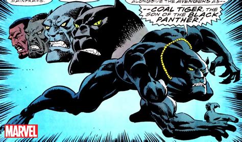 Black Panther Wakanda Forever Mid Credit Scene Explained Tchallas