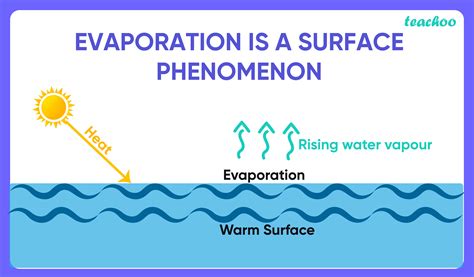Why is Evaporation called a surface phenomenon? - Teachoo