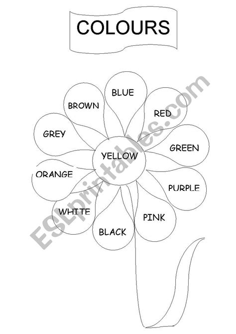 Flower To Colour Esl Worksheet By Finsbury