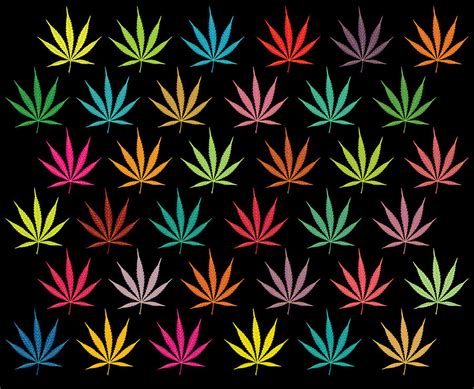 Cannabis Leaf Multi Coloured Pattern Digital Art By Thisis Notme Fine