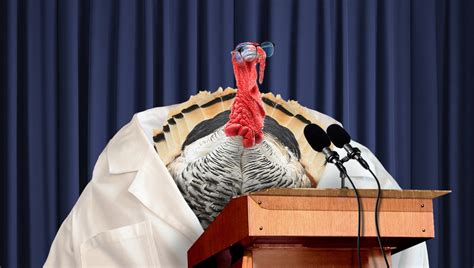 Check spelling or type a new query. 'We Must Cancel Thanksgiving,' Says CDC Scientist Who ...