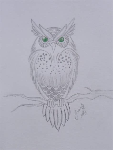 Owl Pencil Drawing Easy Dannielle Singletary