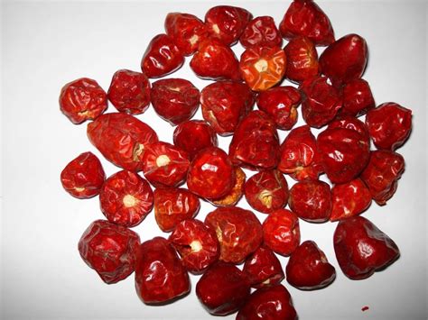Tamilnadu Round Dry Red Chilli Loose At Rs 200kg In Coimbatore Id