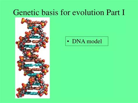 Ppt Genetic Basis For Evolution Part I Powerpoint Presentation Free Download Id29931