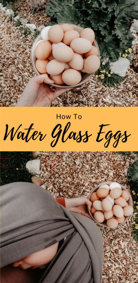 How To Water Glass Eggs Wilson Homestead