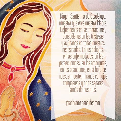 Oración A La Virgen De Guadalupe Frases Virgen De Guadalupe Oracion