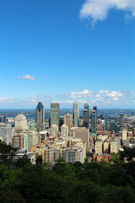 Calgary Leolist