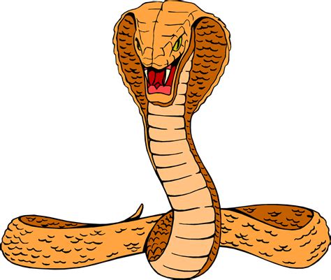 Cobra Clipart Poisonous Snake Cobra Poisonous Snake